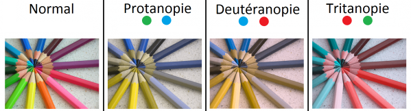 Photo représentant les différents types de daltonisme